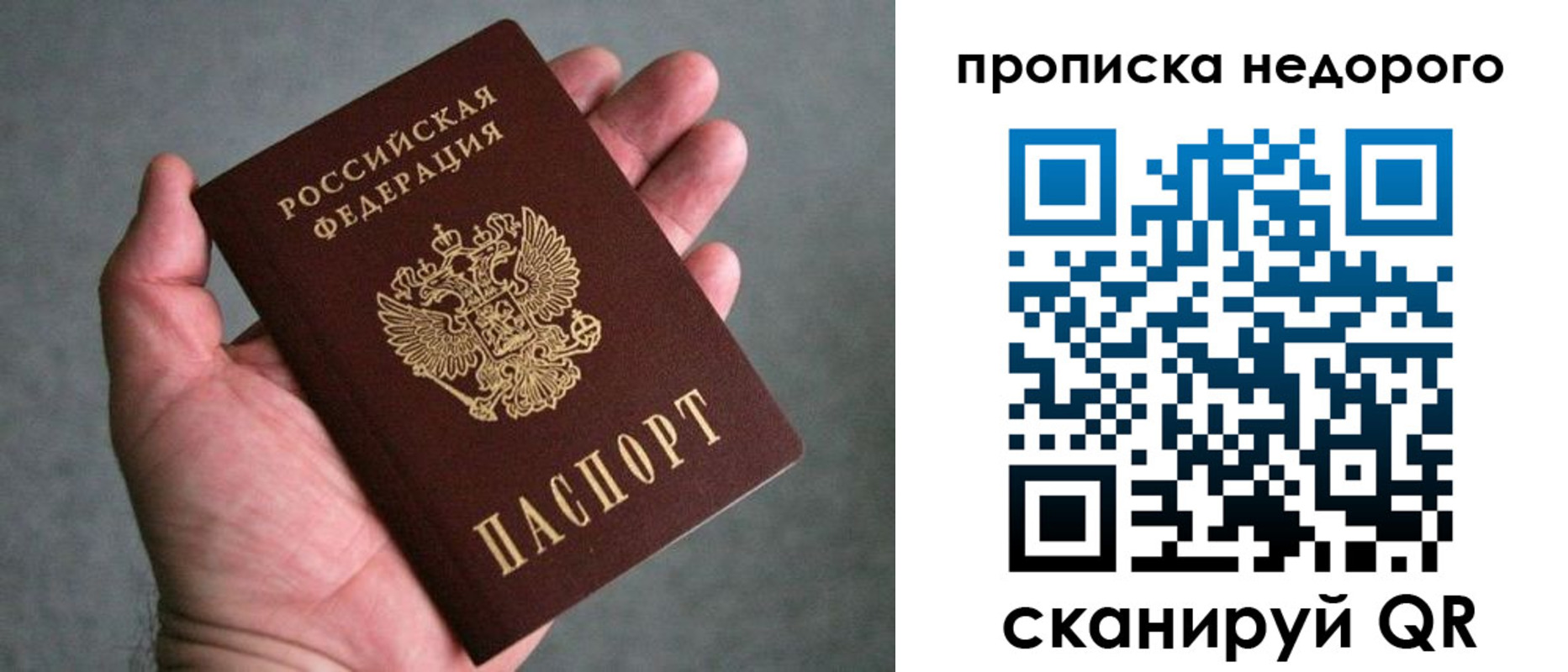 прописка поиск в Полярном